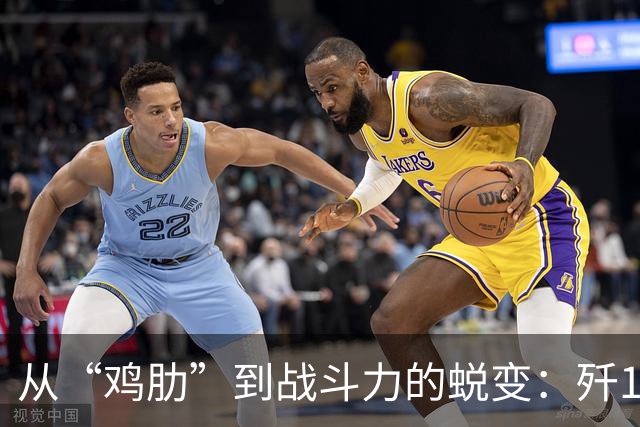 从“鸡肋”到战斗力的蜕变：歼10的辉煌与挑战