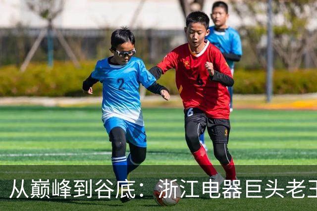 从巅峰到谷底：浙江电器巨头老王的悲剧人生
